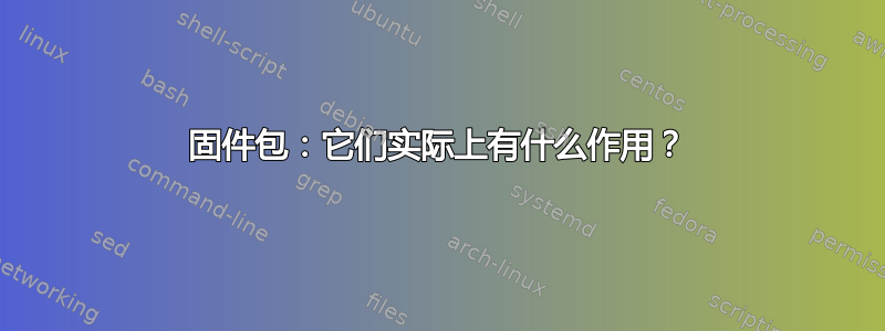 固件包：它们实际上有什么作用？