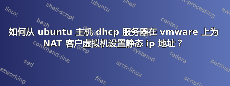 如何从 ubuntu 主机 dhcp 服务器在 vmware 上为 NAT 客户虚拟机设置静态 ip 地址？