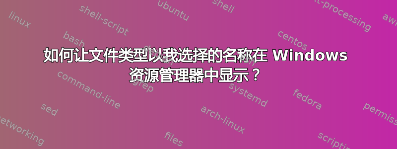 如何让文件类型以我选择的名称在 Windows 资源管理器中显示？