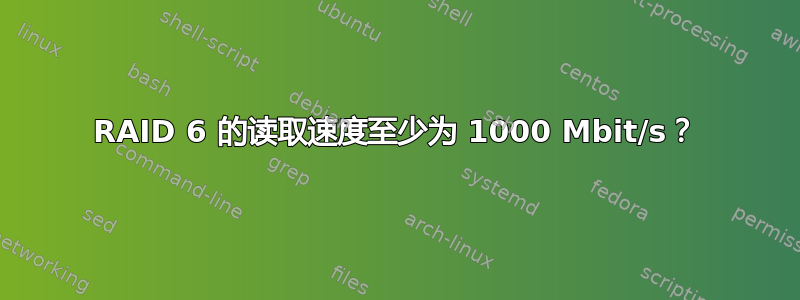 RAID 6 的读取速度至少为 1000 Mbit/s？