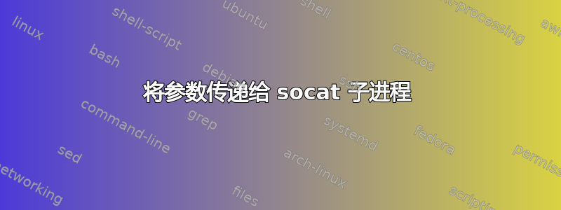 将参数传递给 socat 子进程