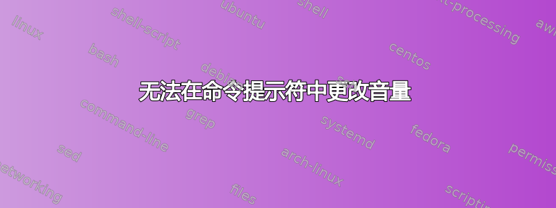 无法在命令提示符中更改音量