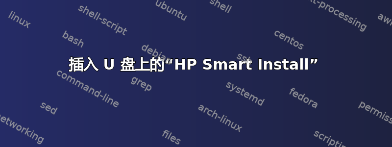 插入 U 盘上的“HP Smart Install”