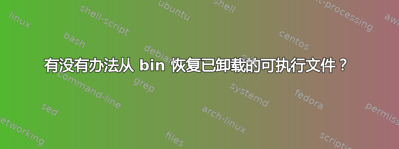 有没有办法从 bin 恢复已卸载的可执行文件？