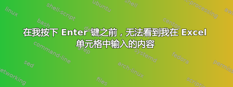 在我按下 Enter 键之前，无法看到我在 Excel 单元格中输入的内容