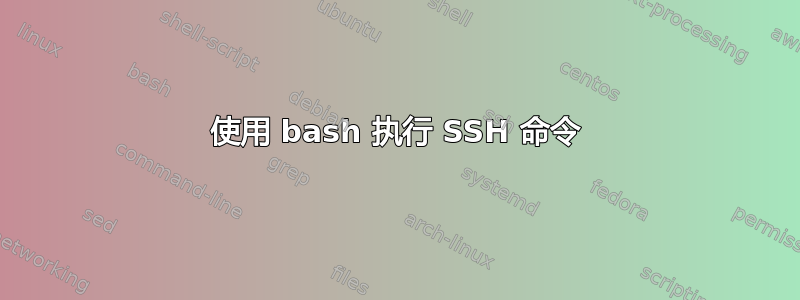 使用 bash 执行 SSH 命令