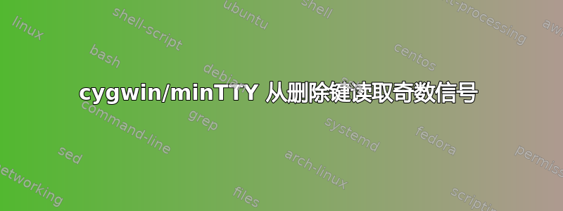 cygwin/minTTY 从删除键读取奇数信号