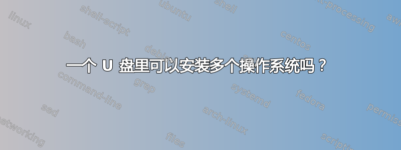 一个 U 盘里可以安装多个操作系统吗？