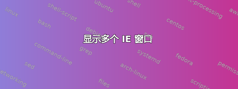 显示多个 IE 窗口