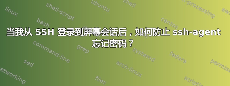 当我从 SSH 登录到屏幕会话后，如何防止 ssh-agent 忘记密码？