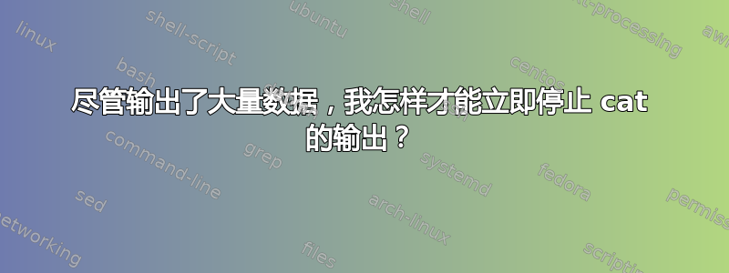 尽管输出了大量数据，我怎样才能立即停止 cat 的输出？