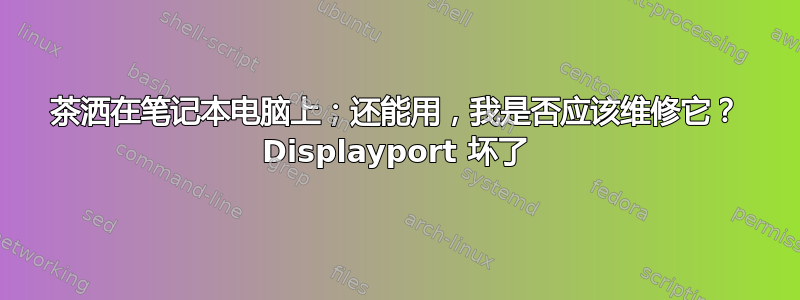 茶洒在笔记本电脑上；还能用，我是否应该维修它？ Displayport 坏了