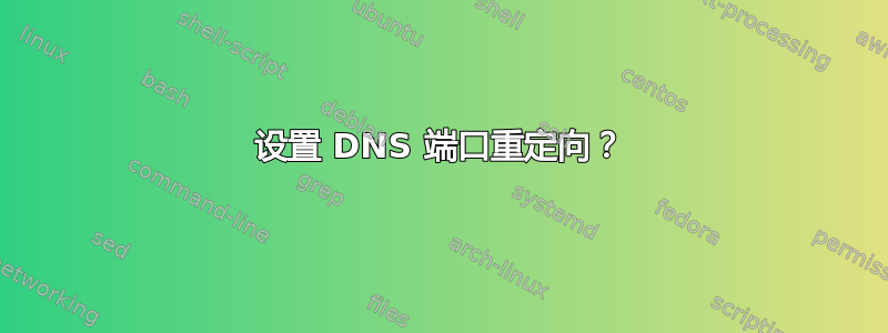 设置 DNS 端口重定向？