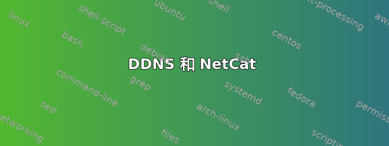 DDNS 和 NetCat