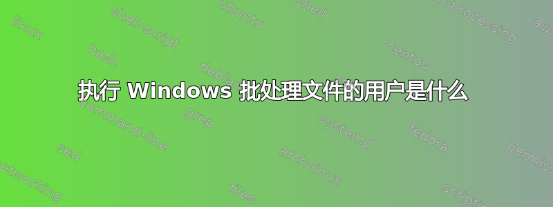 执行 Windows 批处理文件的用户是什么