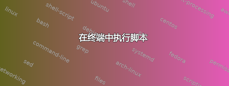 在终端中执行脚本