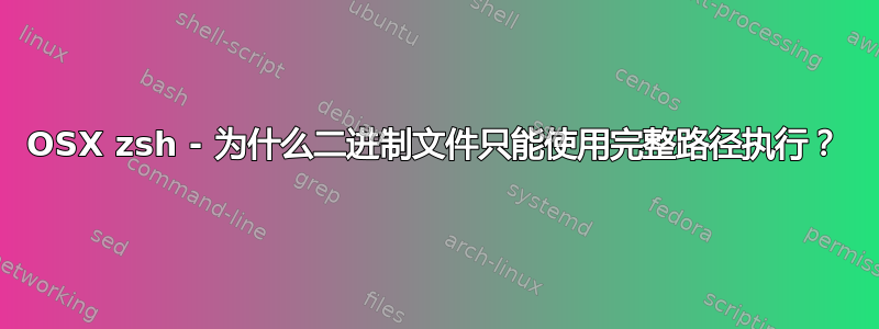 OSX zsh - 为什么二进制文件只能使用完整路径执行？