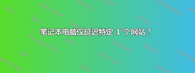 笔记本电脑仅延迟特定 1 个网站？