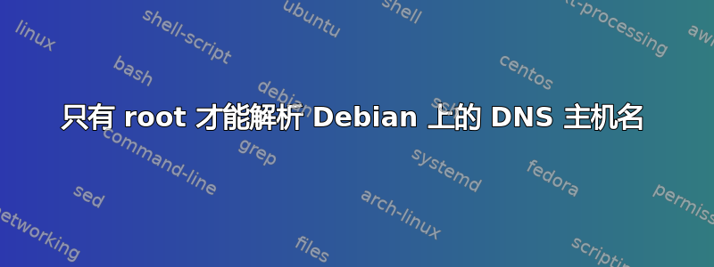 只有 root 才能解析 Debian 上的 DNS 主机名