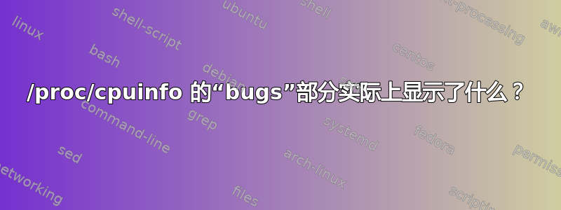 /proc/cpuinfo 的“bugs”部分实际上显示了什么？