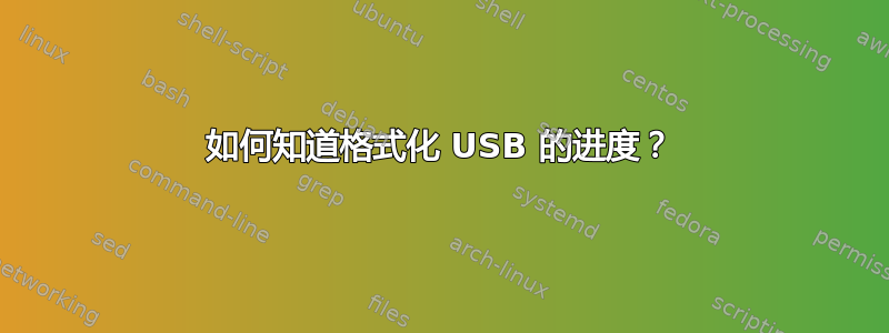 如何知道格式化 USB 的进度？