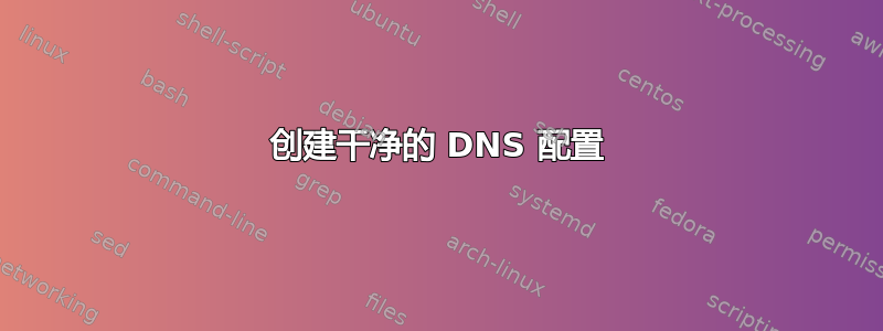 创建干净的 DNS 配置