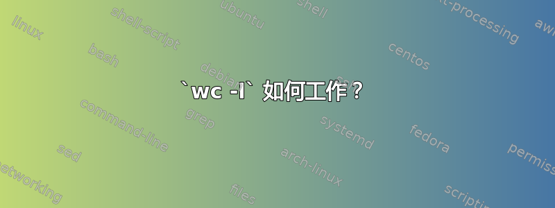 `wc -l` 如何工作？