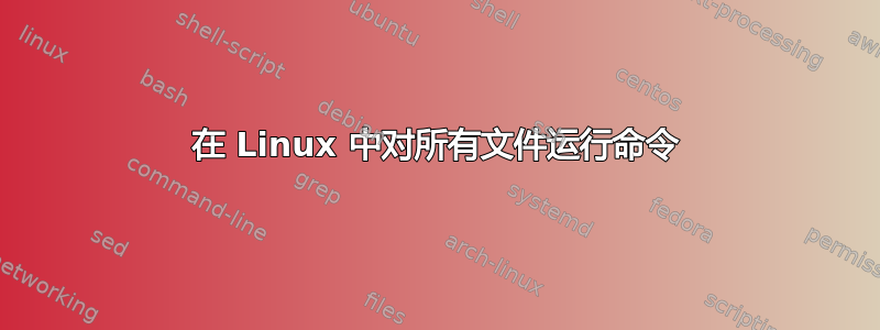 在 Linux 中对所有文件运行命令