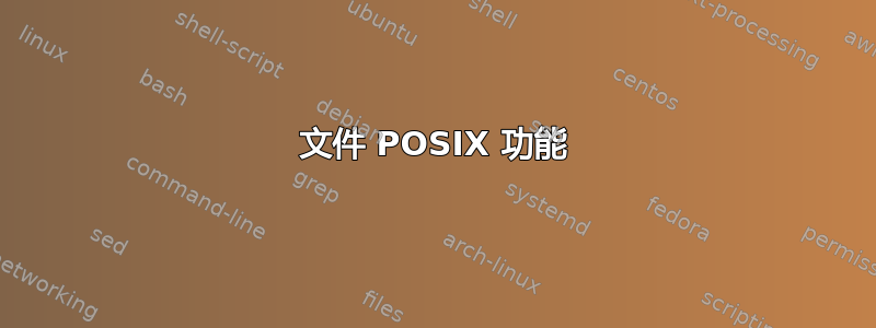 文件 POSIX 功能