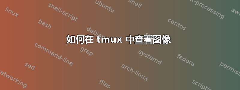 如何在 tmux 中查看图像