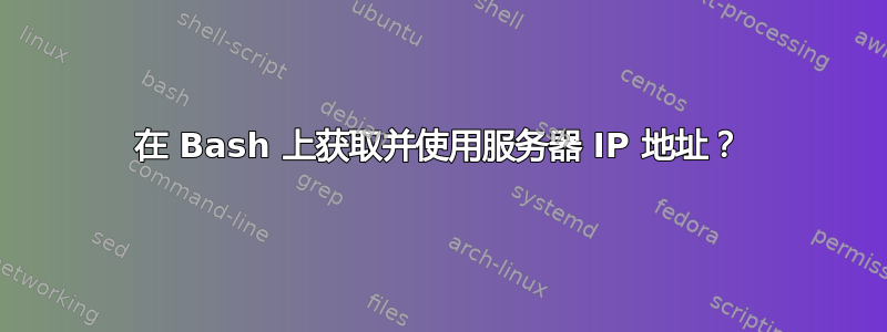 在 Bash 上获取并使用服务器 IP 地址？