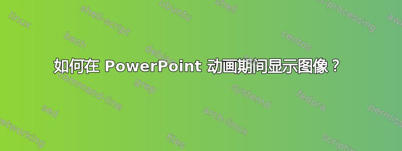 如何在 PowerPoint 动画期间显示图像？