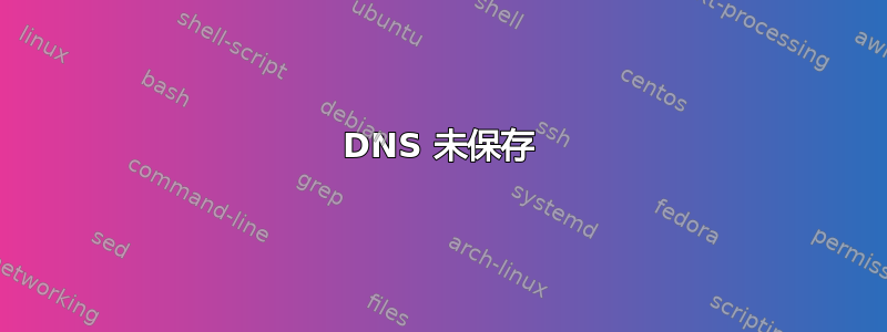 DNS 未保存