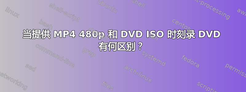 当提供 MP4 480p 和 DVD ISO 时刻录 DVD 有何区别？