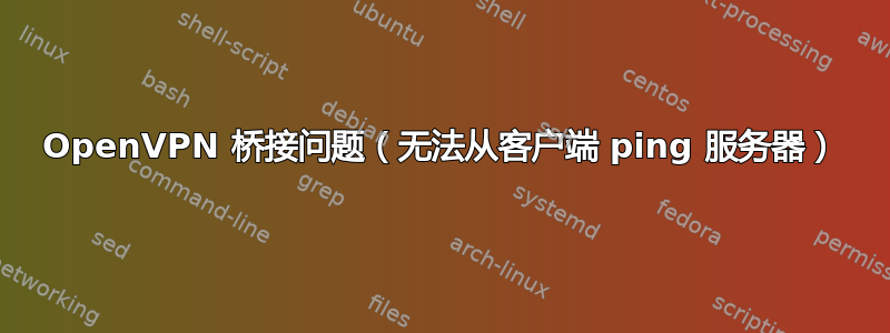 OpenVPN 桥接问题（无法从客户端 ping 服务器）