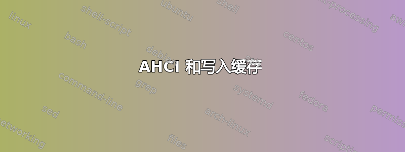 AHCI 和写入缓存