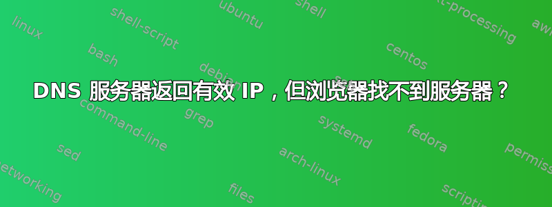 DNS 服务器返回有效 IP，但浏览器找不到服务器？