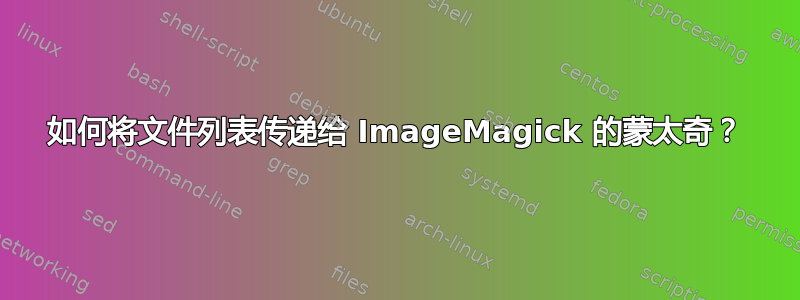 如何将文件列表传递给 ImageMagick 的蒙太奇？