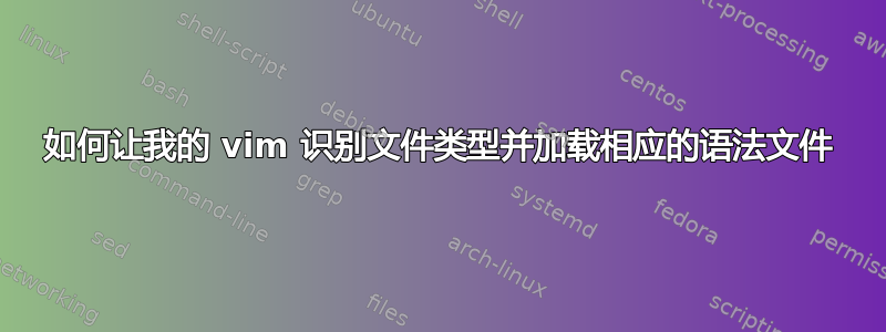 如何让我的 vim 识别文件类型并加载相应的语法文件