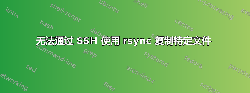 无法通过 SSH 使用 rsync 复制特定文件