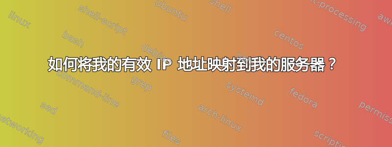 如何将我的有效 IP 地址映射到我的服务器？