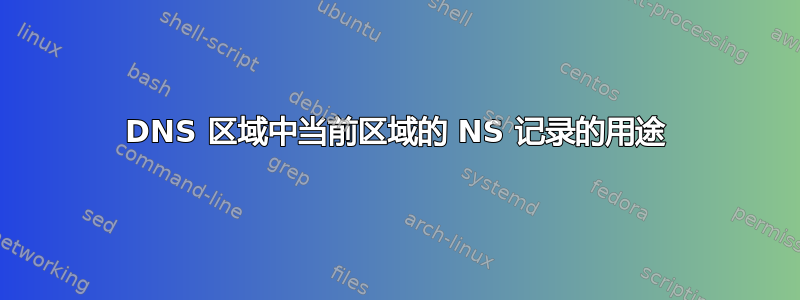 DNS 区域中当前区域的 NS 记录的用途