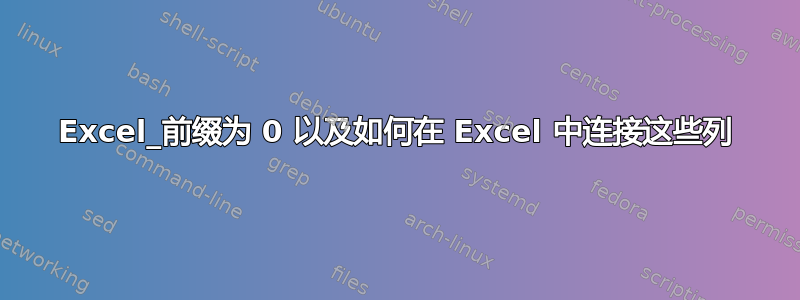 Excel_前缀为 0 以及如何在 Excel 中连接这些列