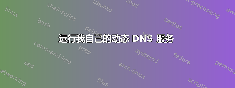 运行我自己的动态 DNS 服务