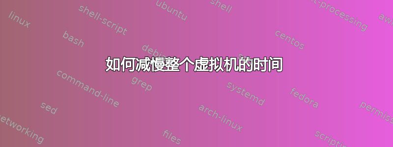 如何减慢整个虚拟机的时间