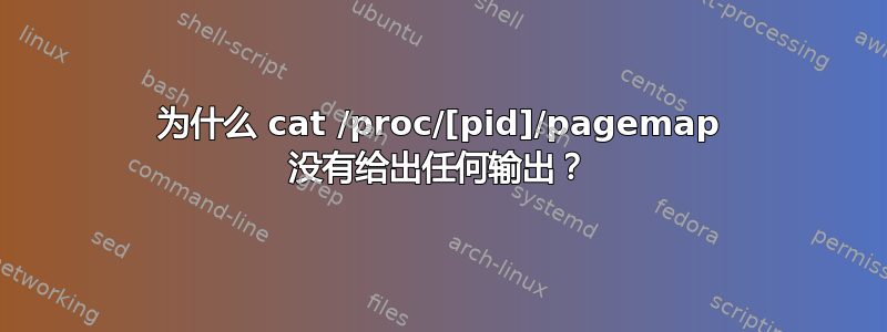 为什么 cat /proc/[pid]/pagemap 没有给出任何输出？