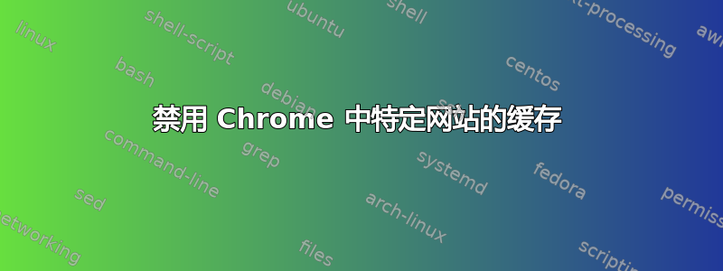 禁用 Chrome 中特定网站的缓存