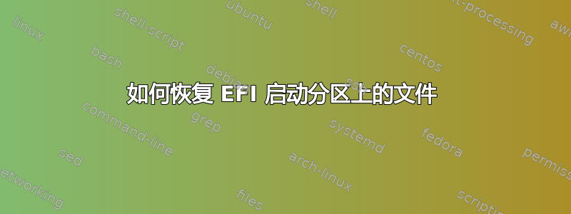 如何恢复 EFI 启动分区上的文件