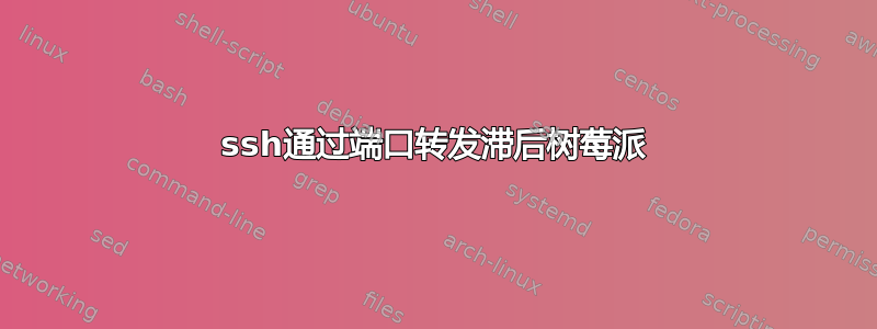 ssh通过端口转发滞​​后树莓派