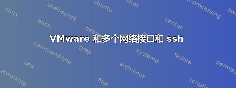 VMware 和多个网络接口和 ssh